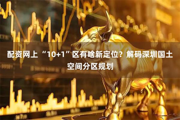配资网上 “10+1”区有啥新定位？解码深圳国土空间分区规划